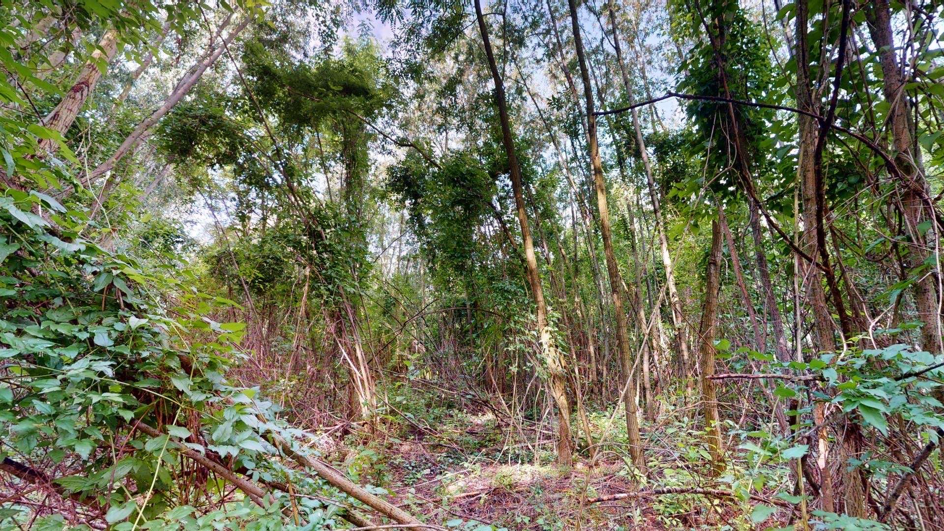 Pozemok, Gabčíkovo, Gabčíkovo